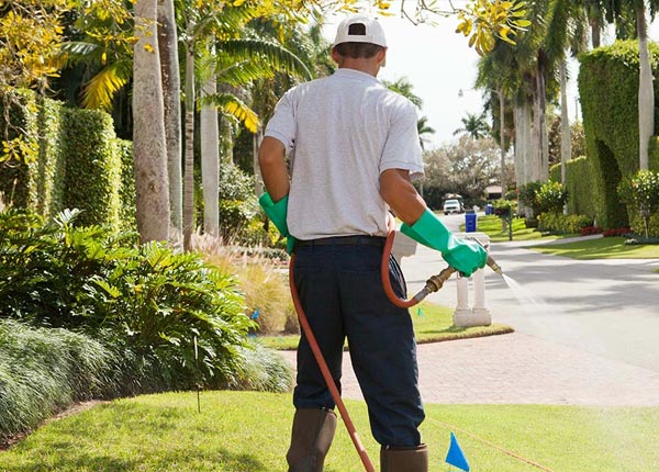 About Dublin NC Pest Control